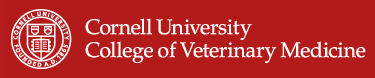 Cornell Logo