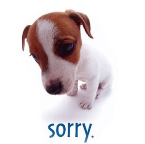 Sorry Dog