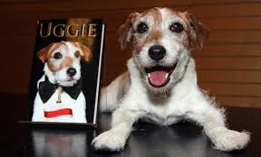 Uggie Tribute