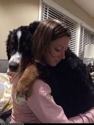 Owner & Dog Hug